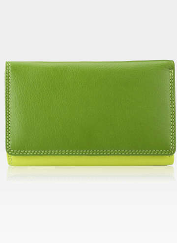 Visconti Dámská kožená peněženka RAINBOW RB43 Zelená Multi