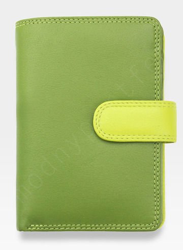 Visconti Dámská kožená peněženka RAINBOW RB51 Zelená Multi