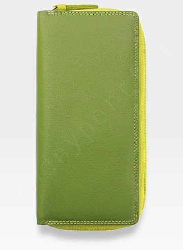 Visconti Dámská kožená peněženka RAINBOW RB55 Zelená Multi